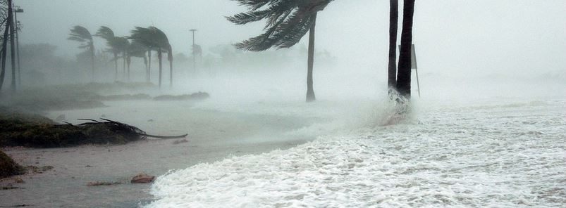 Hurricane Preparation